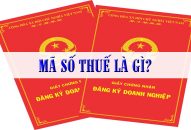 Tìm hiểu về mã số thuế doanh nghiệp