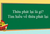 Thừa phát lại là gì?